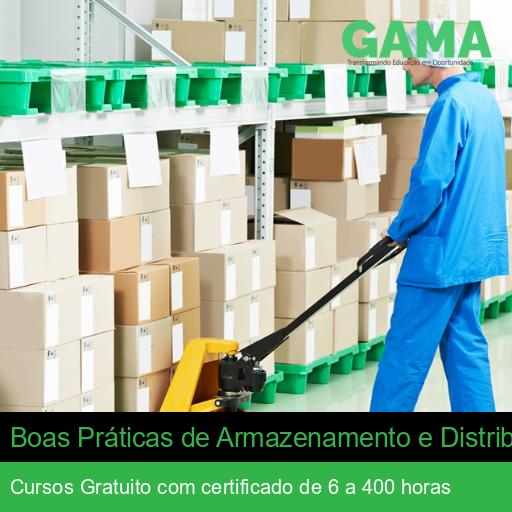 Boas Práticas de Armazenamento e Distribuição de Medicamentos